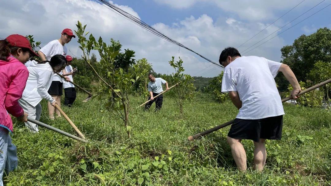 余干县教育局新项目引领教育改革，助力县域腾飞