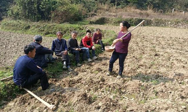 新民社区新领导引领下的发展新篇章