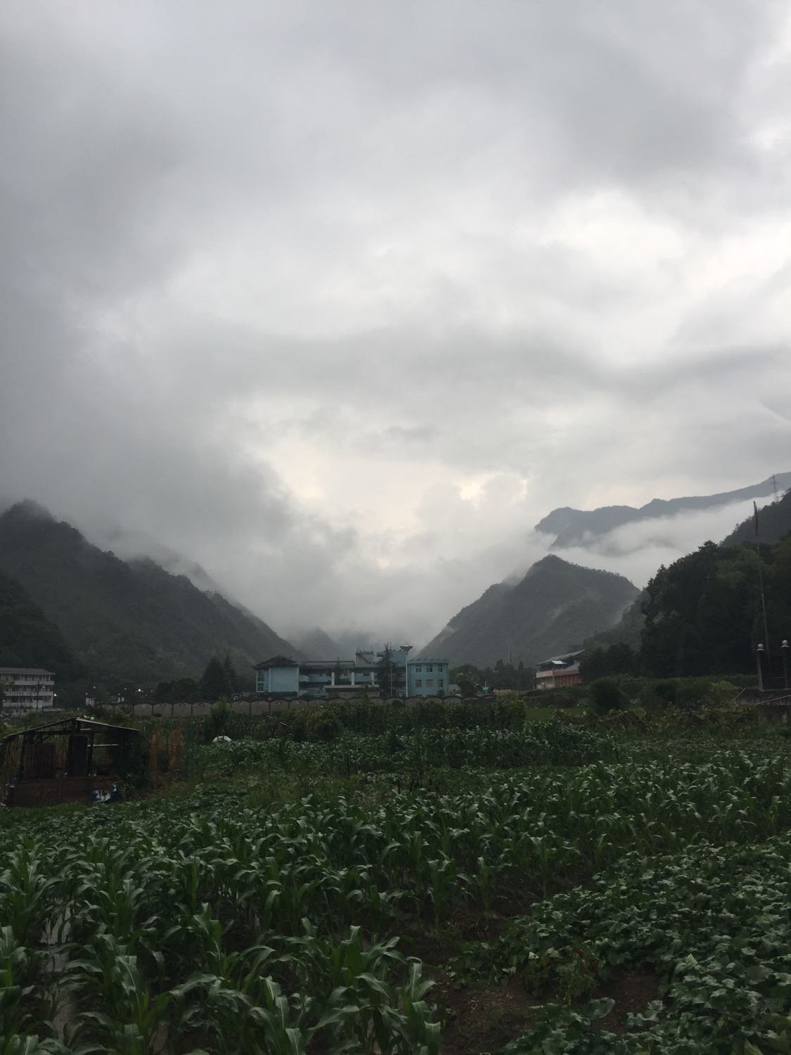 池坝乡天气预报更新通知