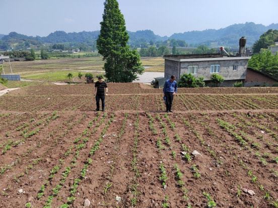 宣化区农业农村局新项目推动农业现代化助力乡村振兴