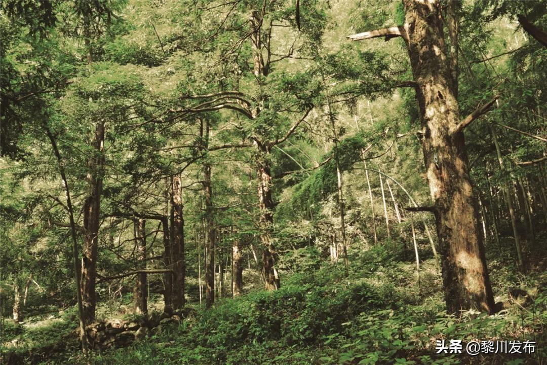 盘山县住房和城乡建设局最新项目概览与动态