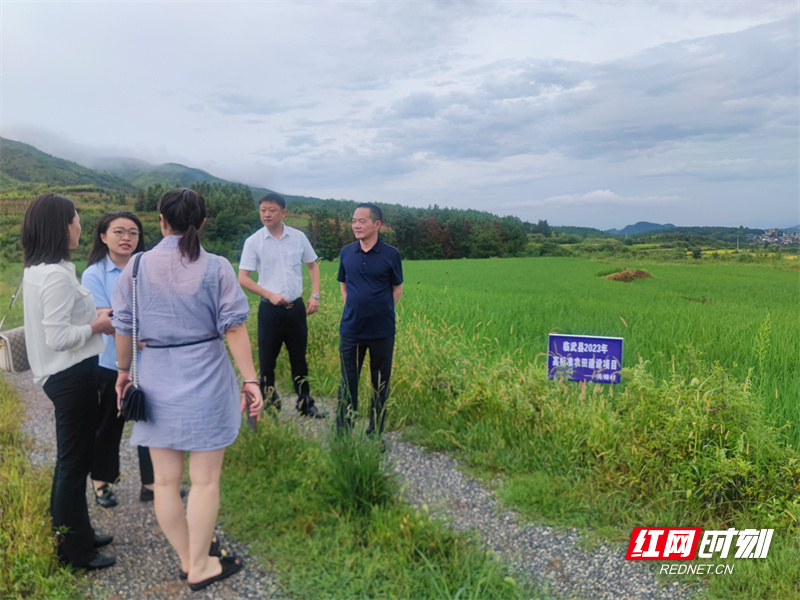 临武县农业农村局新项目推动农业现代化，乡村振兴再添动力