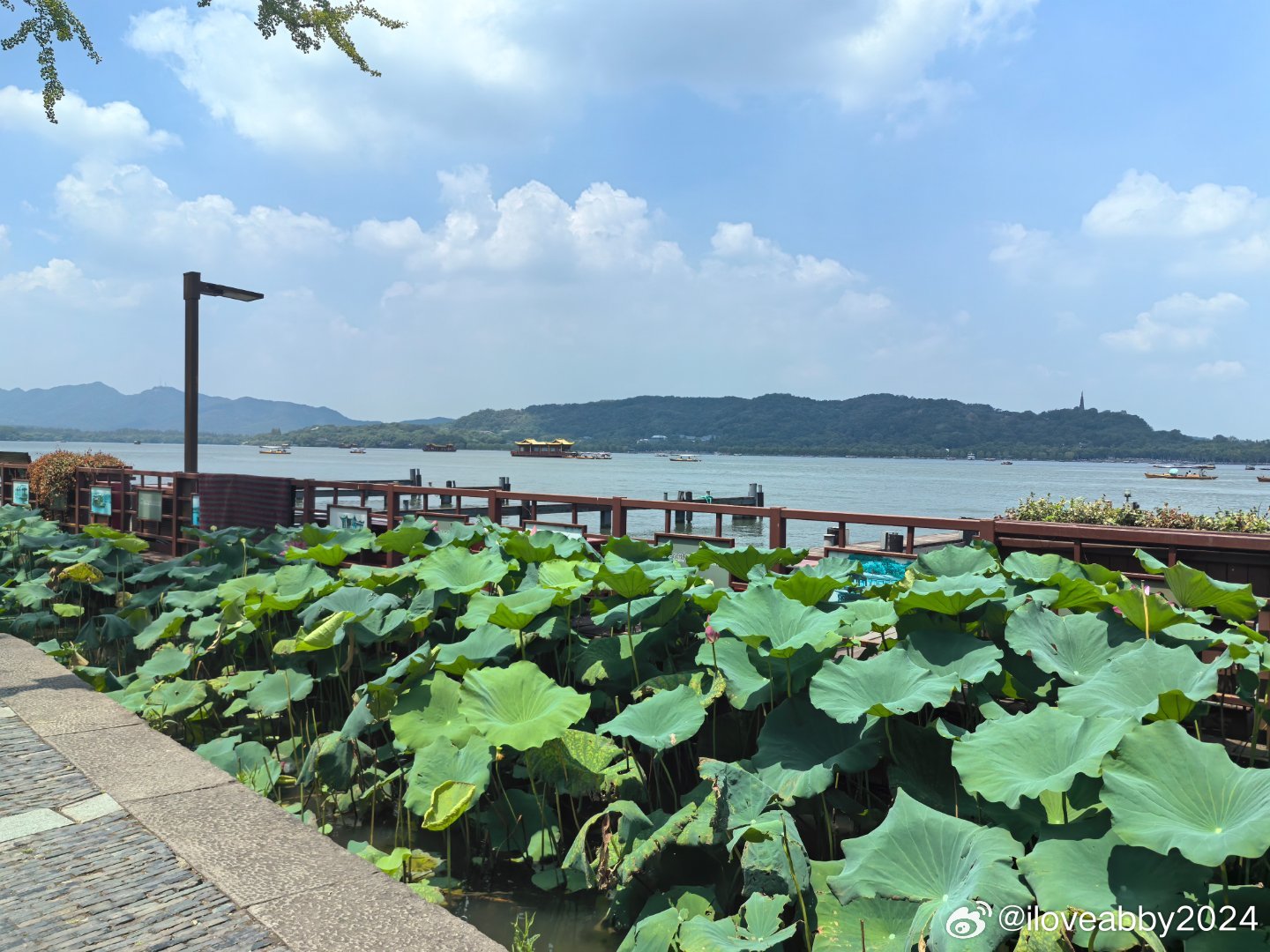 杭州市西湖风景名胜区展现新时代风貌，引领旅游热潮新动态